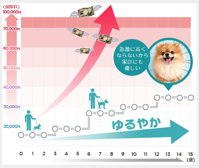 PS保険は保険料上昇がゆるやかで、家計にやさしいことを示すグラフ