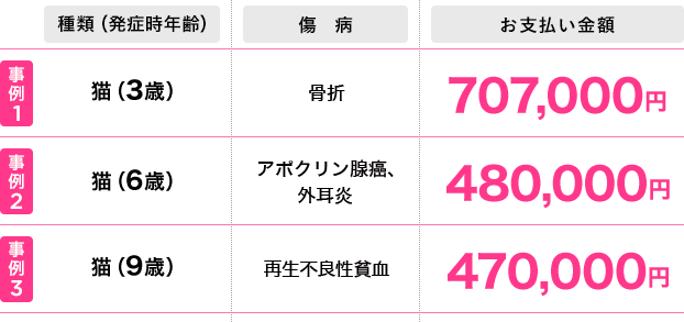 猫の保険金高額お支払い事例