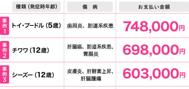 犬の保険金高額お支払い事例