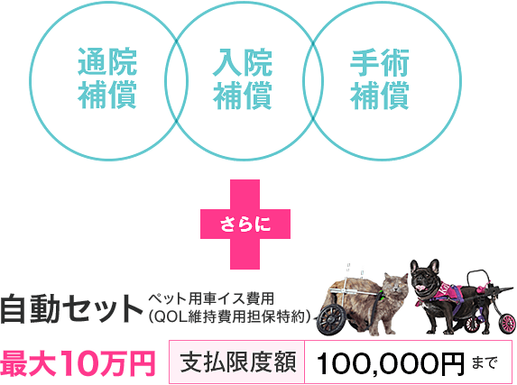 事故で肢を失ったペットの車イス購入費用を補償するイメージ