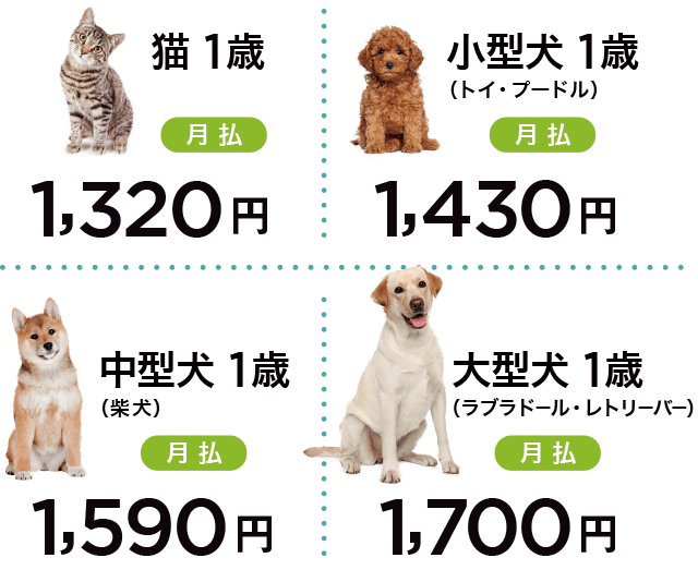 PS保険の月払保険料例:猫1歳1,320円、小型犬1歳1,430円、中型犬1歳1,590円、大型犬1歳1,700円