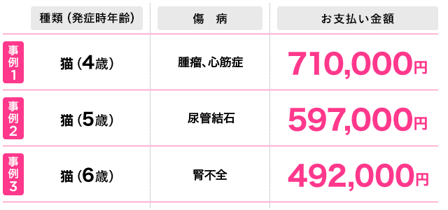猫の保険金高額お支払い事例