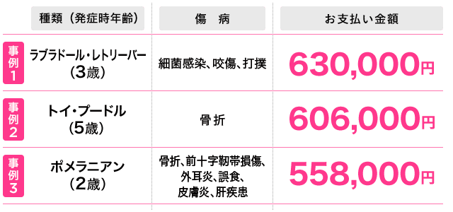 犬の保険金高額お支払い事例